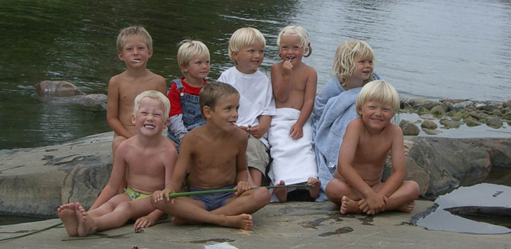 Ärtviken