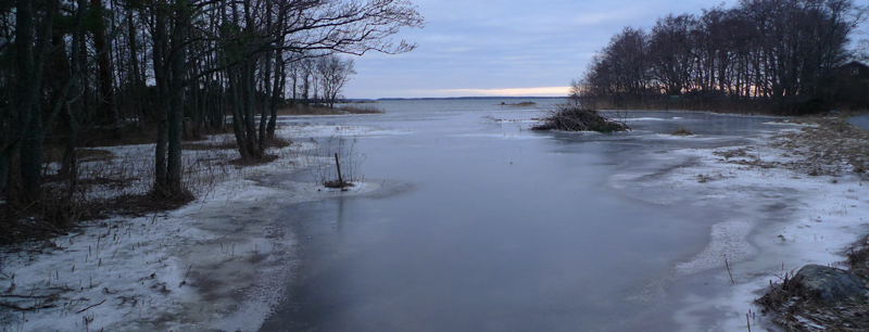 Högvatten Svartlöga